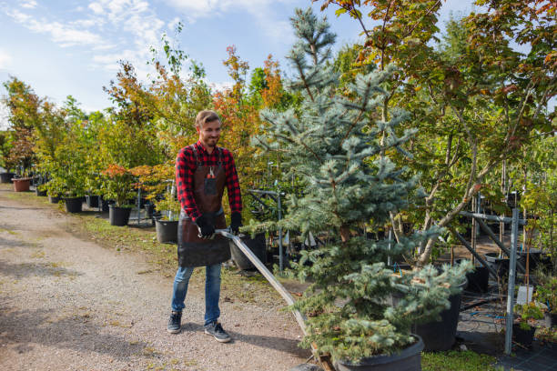 Mulching Services in Riverside, PA